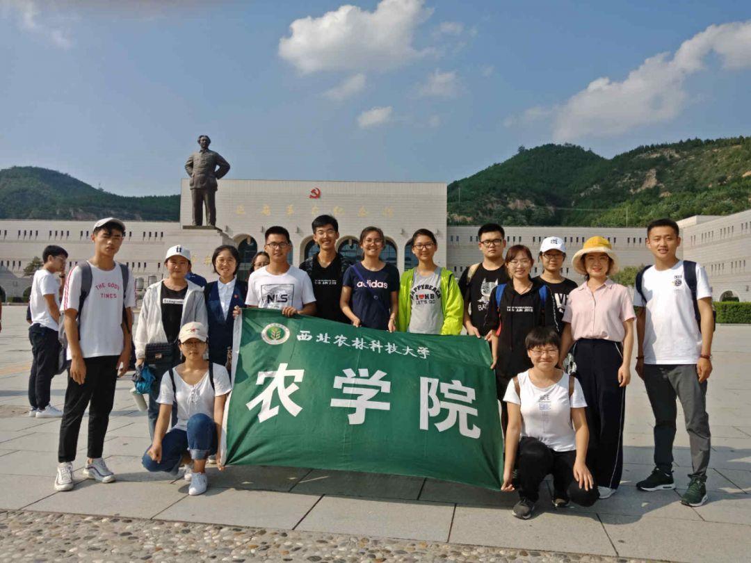 伊诺拉复仇记